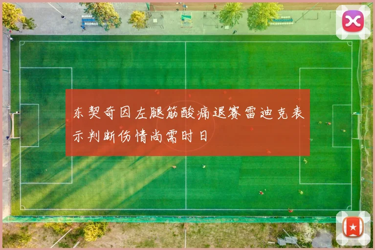 东契奇因左腿筋酸痛退赛雷迪克表示判断伤情尚需时日