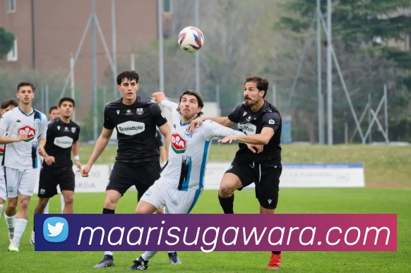 互动解说服务